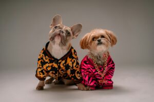 unique dogs